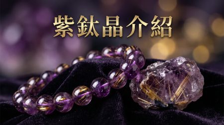 DEARPET 一站式寵物平台