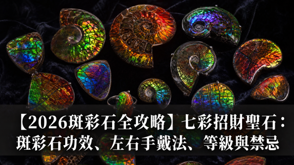 斑彩石（富貴螺）封面圖