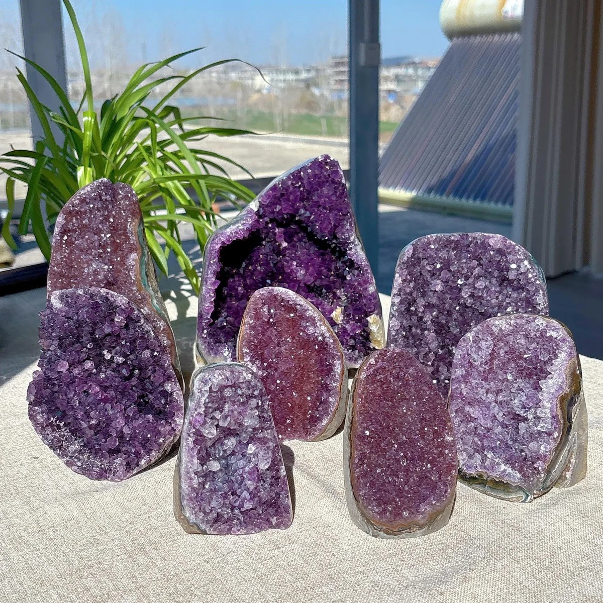 紫水晶晶簇 睡覺戴水晶