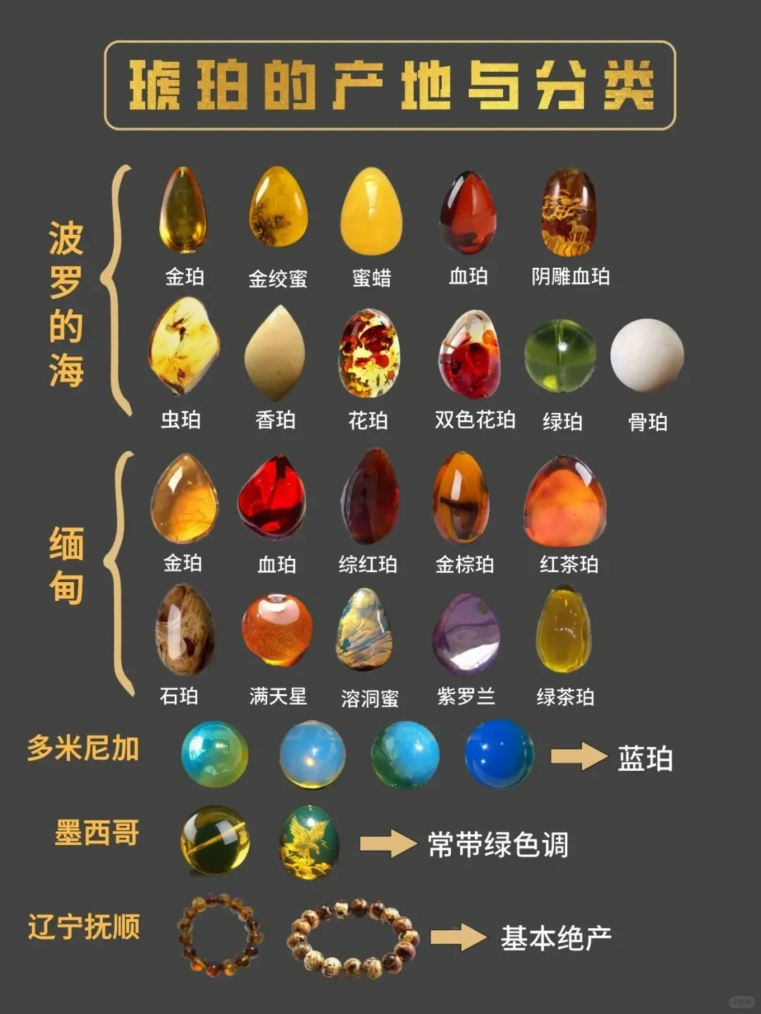 琥珀不同種類比較
